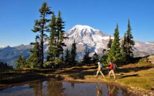 Read more about the article 10 Best Family-Friendly Hiking Trails in the USA”