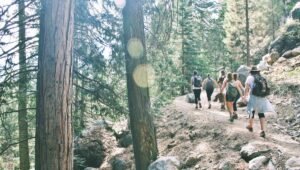 Read more about the article Guide to Hiking in National Parks: Trails, Tips, and Top Destinations