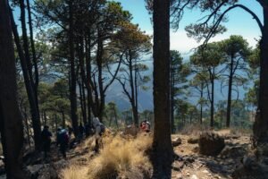 Read more about the article Top 10 Scenic Hiking Trails Around the World You Must Experience