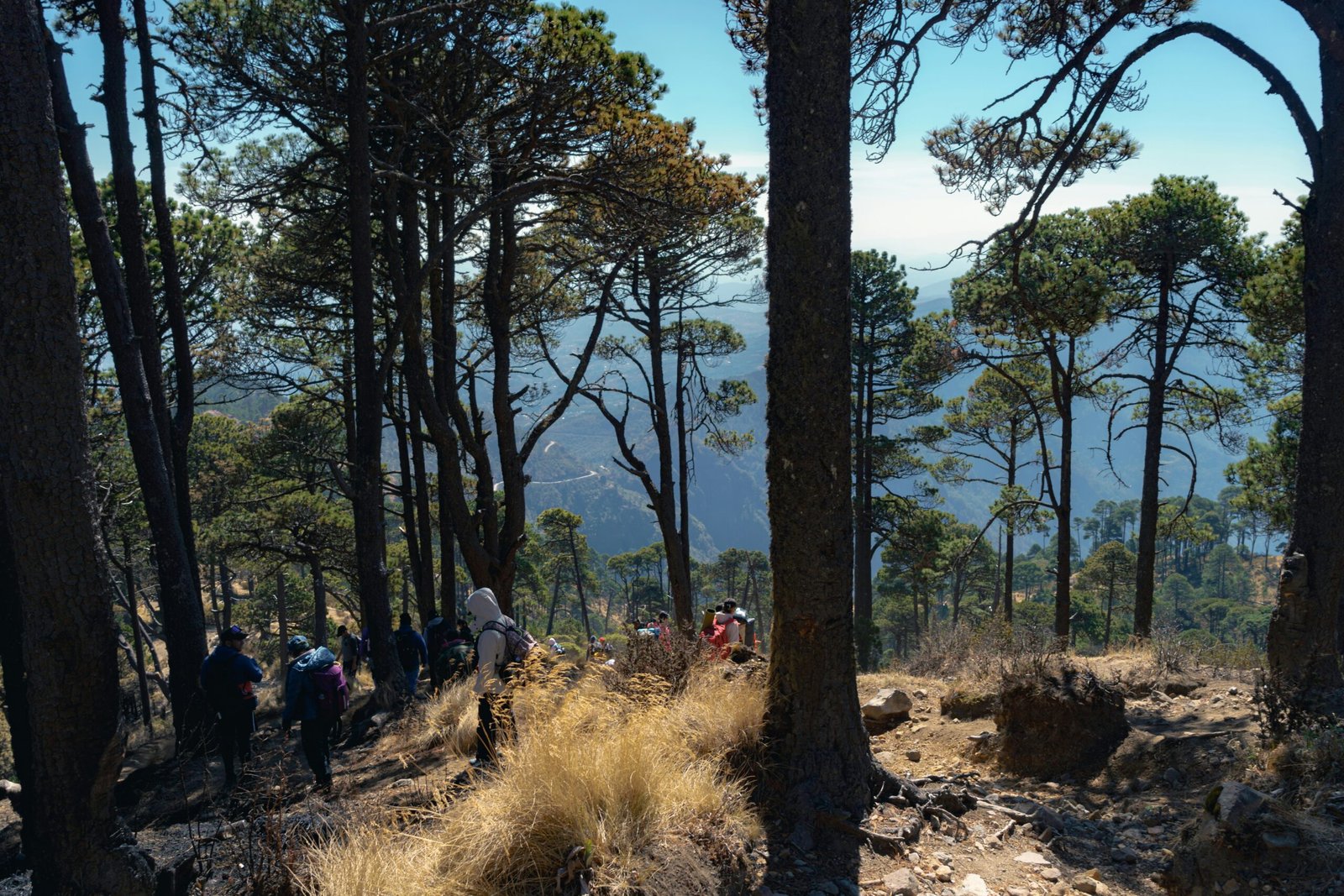 Read more about the article Top 10 Scenic Hiking Trails Around the World You Must Experience